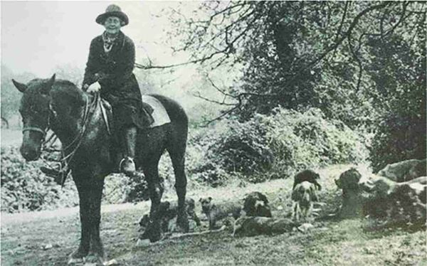 Aleen Cust's first appointment was as an assistant to William Byrne’s veterinary practice in Athleague, Co. Roscommon. 