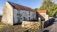 Farmyard holding on the market in County Roscommon 