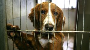 Spending of €220,575 on dog control services recorded by Roscommon County Council 