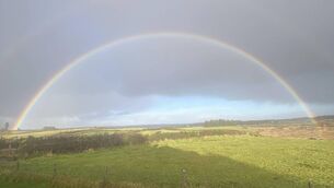 <p>A rainbow captured on New Year’s Day at Erritt, Carrowbehy by Martin Walshe, Erritt, Carrowbehy. </p>