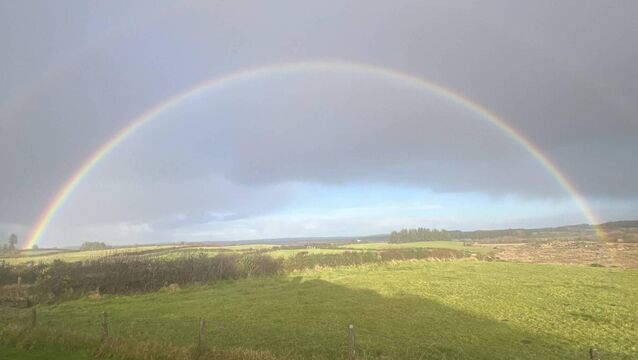 <p>A rainbow captured on New Year’s Day at Erritt, Carrowbehy by Martin Walshe, Erritt, Carrowbehy. </p>