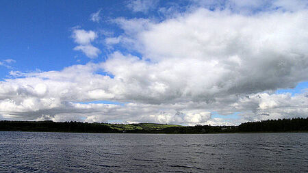 Rowing Ireland refused planning permission for centre in Co Wicklow due to impact on wild geese