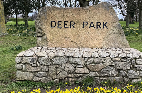 Construction of 14 steps and ramp for Dublin park cost over €750k