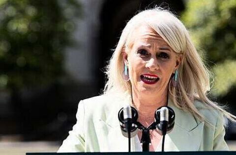 Minister says Ireland has 'robust legislation' in place to deal with AI images