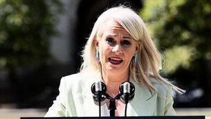 Sinn Féin TD secures court permission to continue challenge to 'super junior' appointments Sinn Féin TD secures court permission to continue challenge to 'super junior' appointments