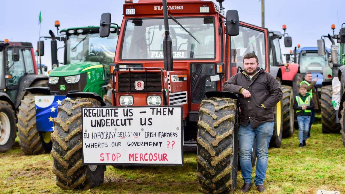 Young County Roscommon man struggling to see a future for himself in farming under Mercosur deal