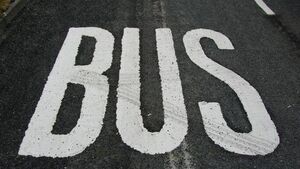 Plans for new bus stops and shelters welcomed