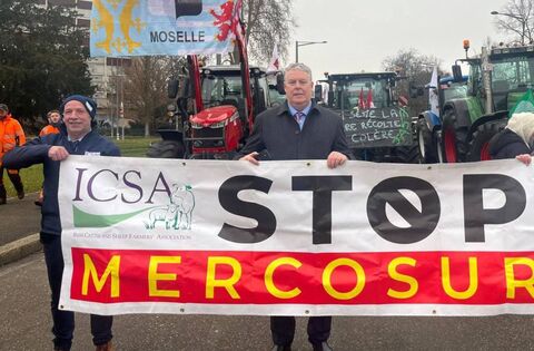 Mullooly pushes legal challenge to Mercosur