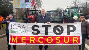 <p>MEP Ciaran Mullooly walks with farmers protesting in Strasbourg yesterday, Tuesday 20th Jan.</p>