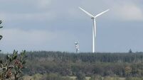 Action group feels ‘vindicated’ after further information sought on wind farm 