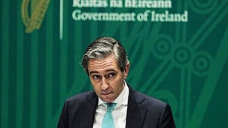 US tariffs over Greenland could create ‘spiral of events’, Tánaiste says