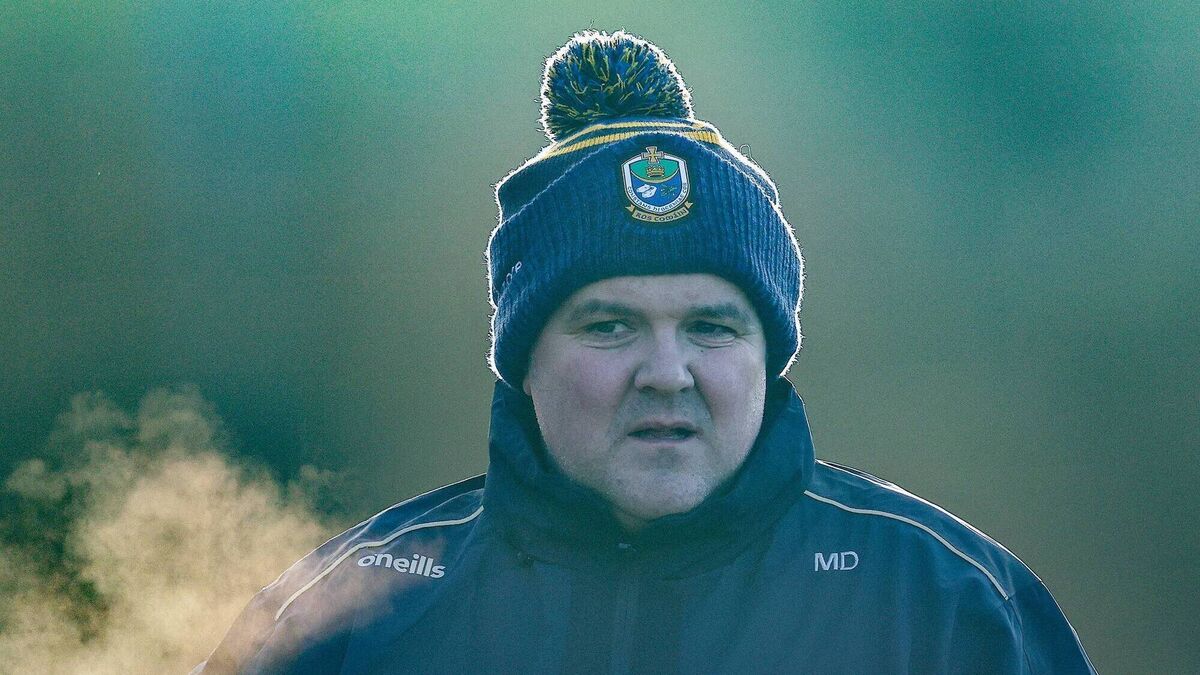 Dowd insists that every player has got a ‘fair crack of the whip’