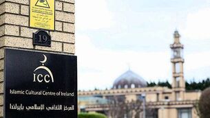 Dogs Trust issues hot weather warning for dog owners