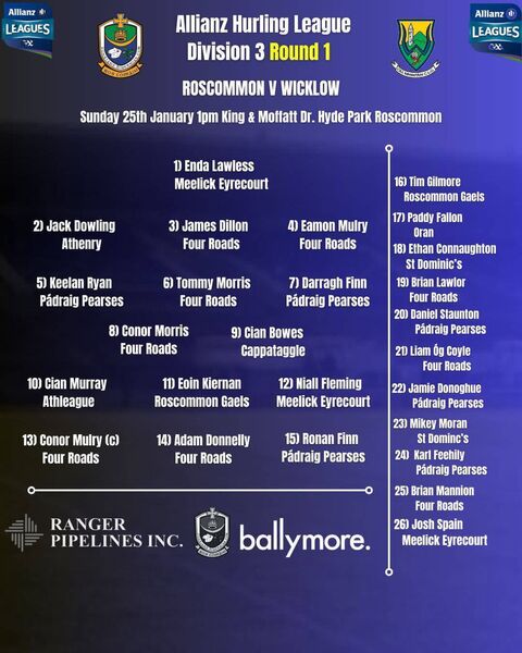 The Roscommon hurling team to face Wicklow in Division Three on Sunday. Graphic: Roscommon GAA.