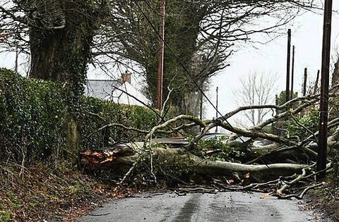 Homes worst impacted by Storm Éowyn dealing with constant power cuts