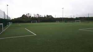 Over €400,000 for Roscommon Sports Partnership