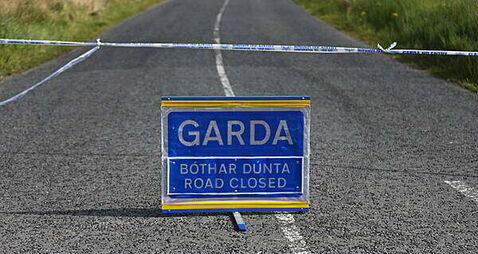 Woman (60s) dies after being struck by truck in Swords