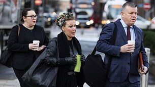 Croatian man's status as foreigner 'relevant' to his alleged Dublin murder, barrister says Croatian man's status as foreigner 'relevant' to his alleged Dublin murder, barrister says