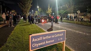 Need for legislation on services creating sexualised images for adults, TD says