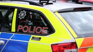 Three men arrested after suspected cannabis plants found in Belfast