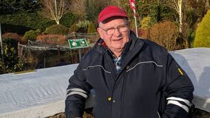 <p>Michael Gilligan has spent many years developing his unique memorial garden in Fairymount. Pic: Liam Reynolds</p>