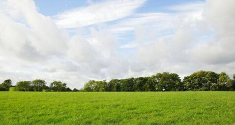 County Roscommon residential farm sells for record price in online auction