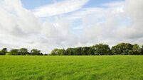 County Roscommon residential farm sells for record price in online auction