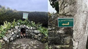 Dublin City Council called out on u-turn for renaming Herzog Park