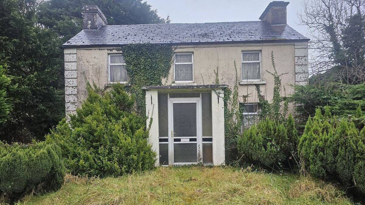 59 acre Roscommon farm for sale