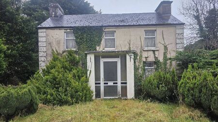 59 acre Roscommon farm for sale