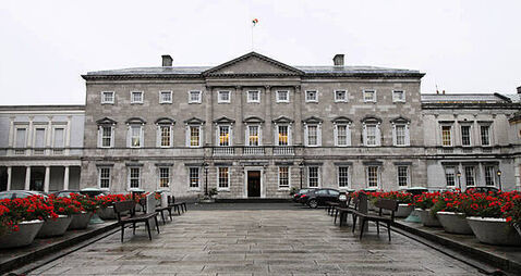 TDs hit with Dáil food price hike while wine price remains unchanged