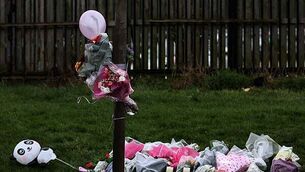 Man (25) arrested in relation to Down wildfire