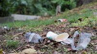 Littering around Castlerea ‘a sad situation’