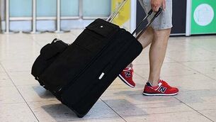 Wheat, barley and oat production declined by about 20% last year