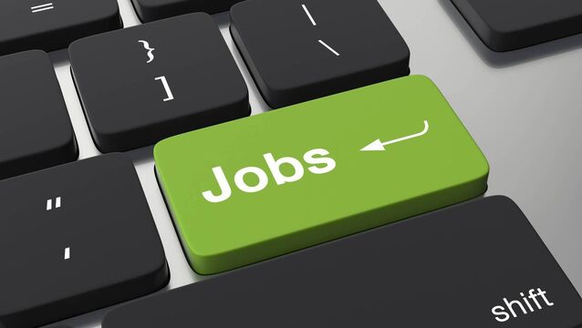 <p>Several jobs in a County Roscommon business are under threat </p>