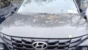 Search underway for car stolen from Roscommon