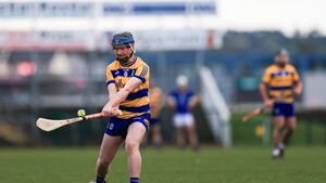 Hurlers aiming to sow more seeds of encouragement in the Orchard