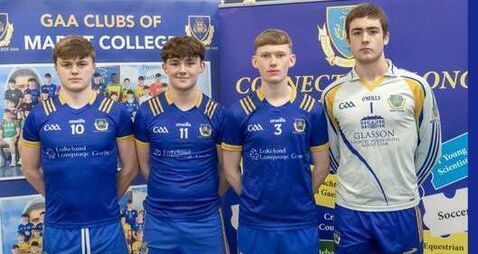 No joy for Roscommon players in Leinster Schools’ A football final 