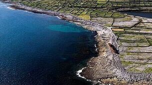 TFI warns of scam claiming to sell leap cards online