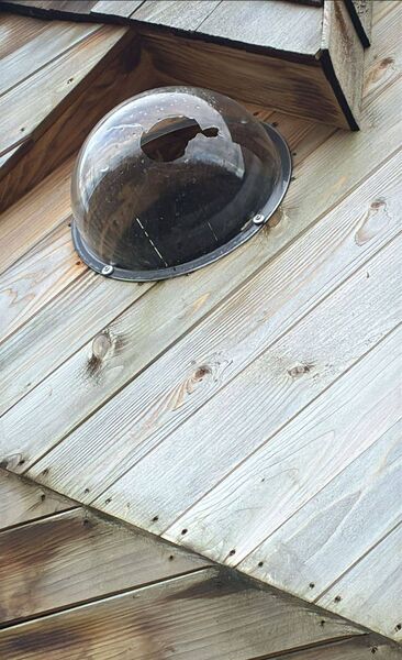 The wooden squirrel was unveiled last summer.