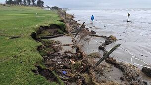 Owners may be shortening pets’ lives by underestimating weight, charity warns