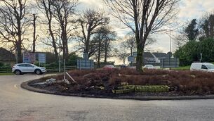<p>Damage at the Shannon Roundabout.</p>
