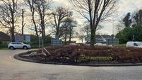 Man arrested following roundabout crash