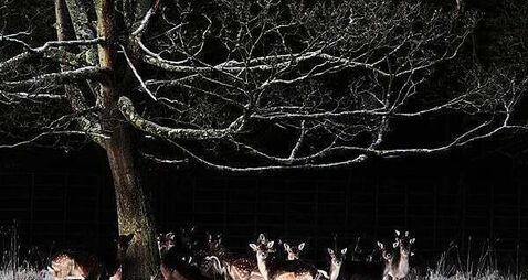 Cold snap expected this week with temperatures dropping to -3