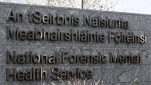 Over 20,000 hours spent in solitary confinement by patient in new Central Mental Hospital