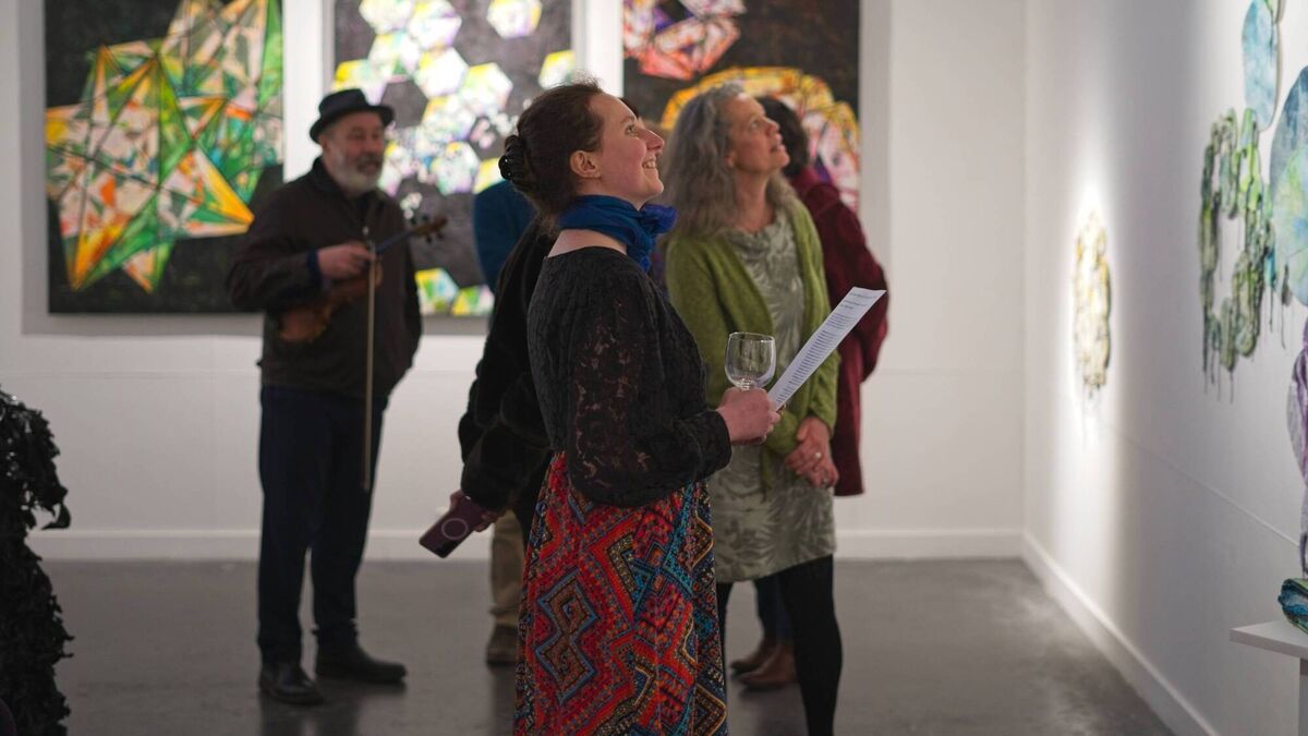 Ballagh visual artist opens debut solo exhibition