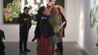 Ballagh visual artist opens debut solo exhibition 