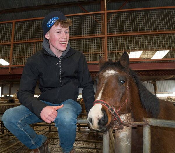 John Kenny from Athleague was delighted with the filly he bought at a horse sale at Drumshanbo Mart. John is also a sheep farmer. Pic: Gerry Faughnan John Kenny from Athleague was delighted with the filly he bought at a horse sale at Drumshanbo Mart. John is also a sheep farmer. Pic: Gerry Faughnan