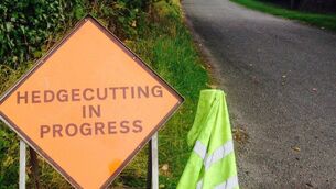 <p>Properly maintained hedges ensure vulnerable road users are not forced onto the road by overgrown hedges.</p>