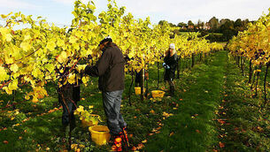 Garda killer Aaron Brady pleads guilty to perverting course of justice